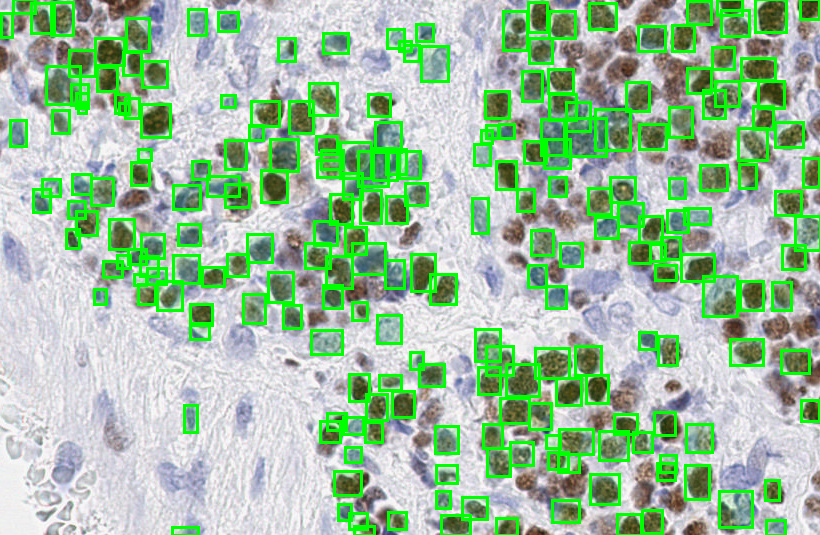 problem_5668_c1e4affcef7f22876ad21c3a78b0732a.png
